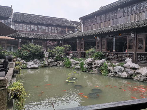 嘉興 江南水鄉的魅力明珠