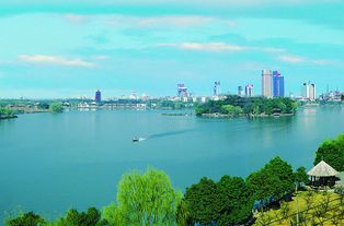 以智能交通為突破口，嘉興將駛上智慧城市建設快車道